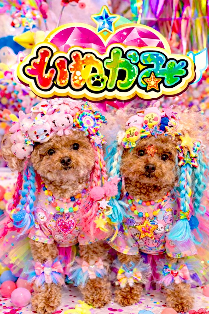 たっくん🩷🩵🖐️👌 tweet media