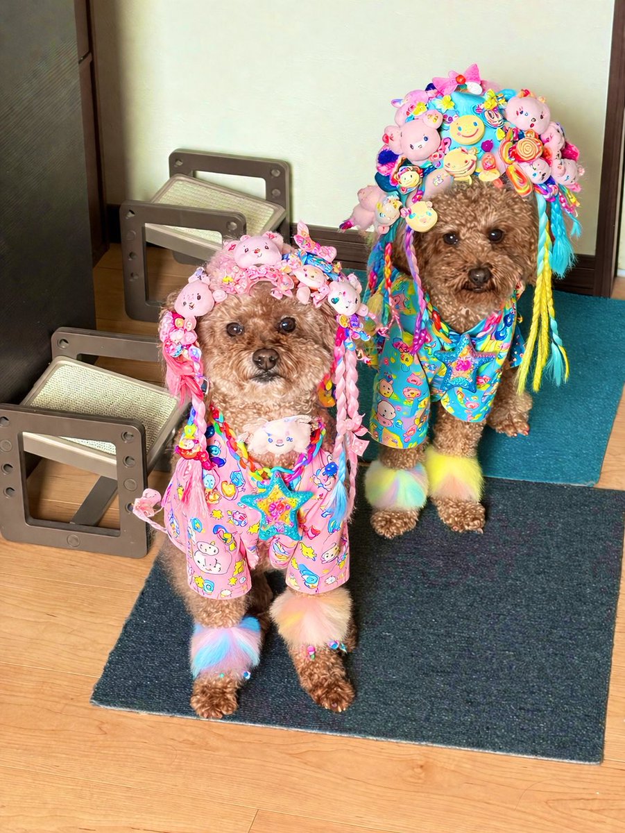 たっくん🩷🩵🖐️👌 tweet media