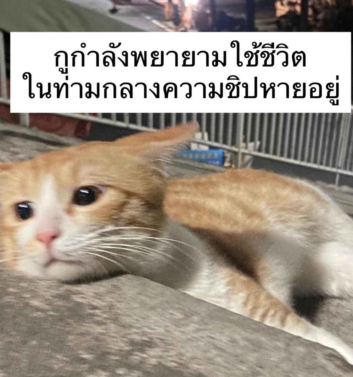 sfkkfs_'s tweet photo. รีวิวกูในทุกวัน : https://t.co/qSxks2CwMt