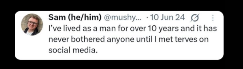 She said it tweet media