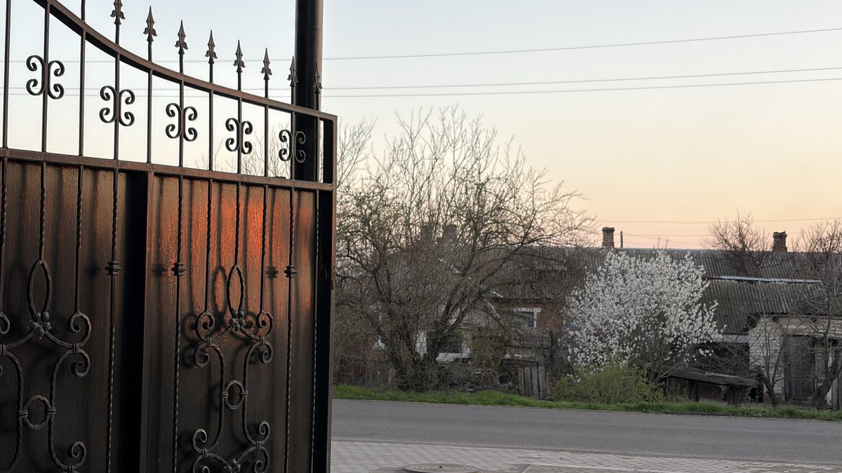 риша tweet media