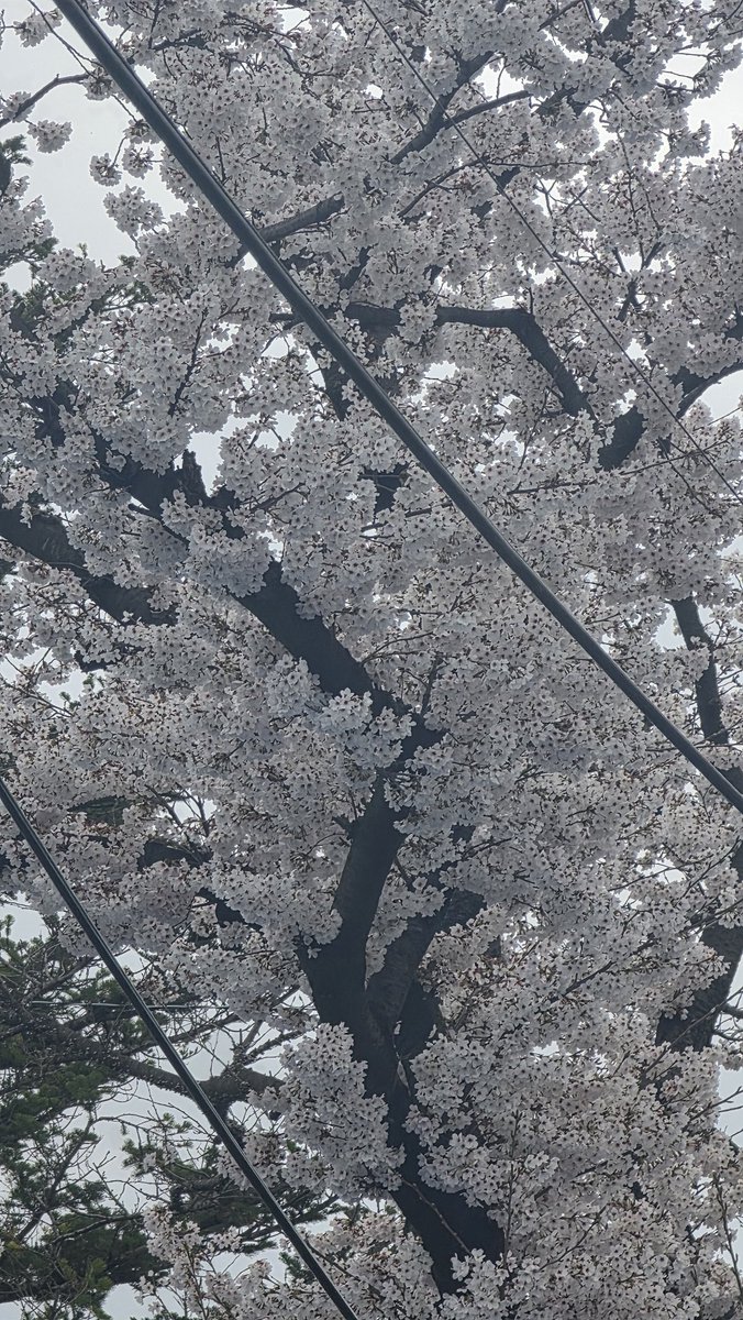 𝗕𝗶𝘁𝗻𝗮 tweet media