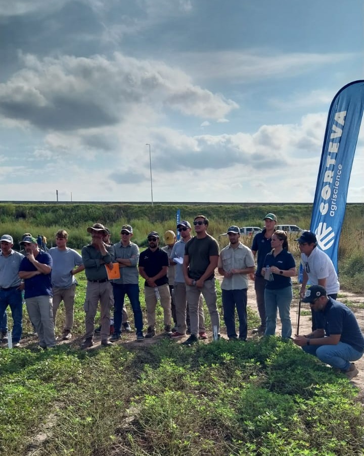 Corteva Argentina tweet media