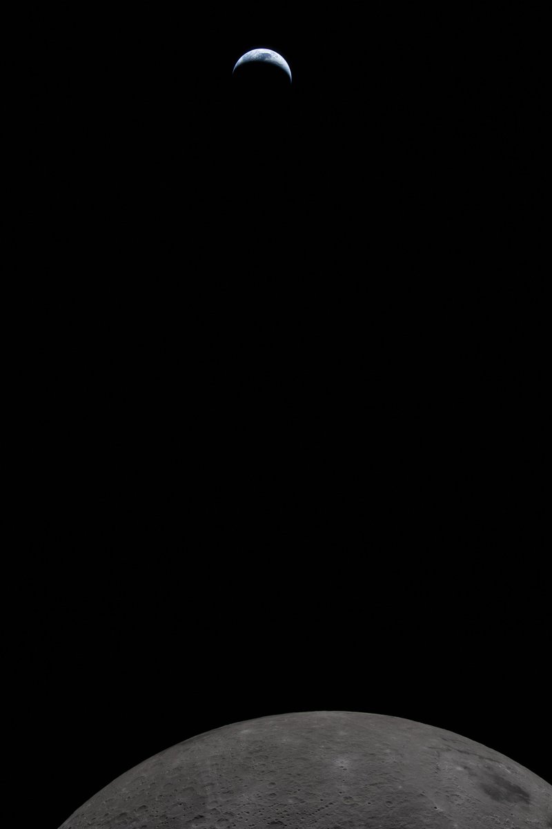 Somos Cosmos tweet media