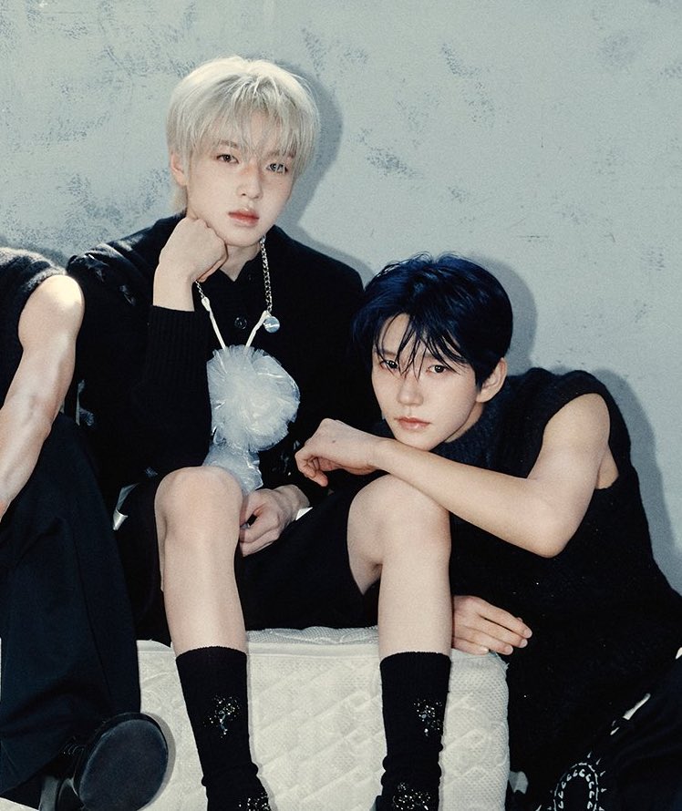 개둥이 tweet media