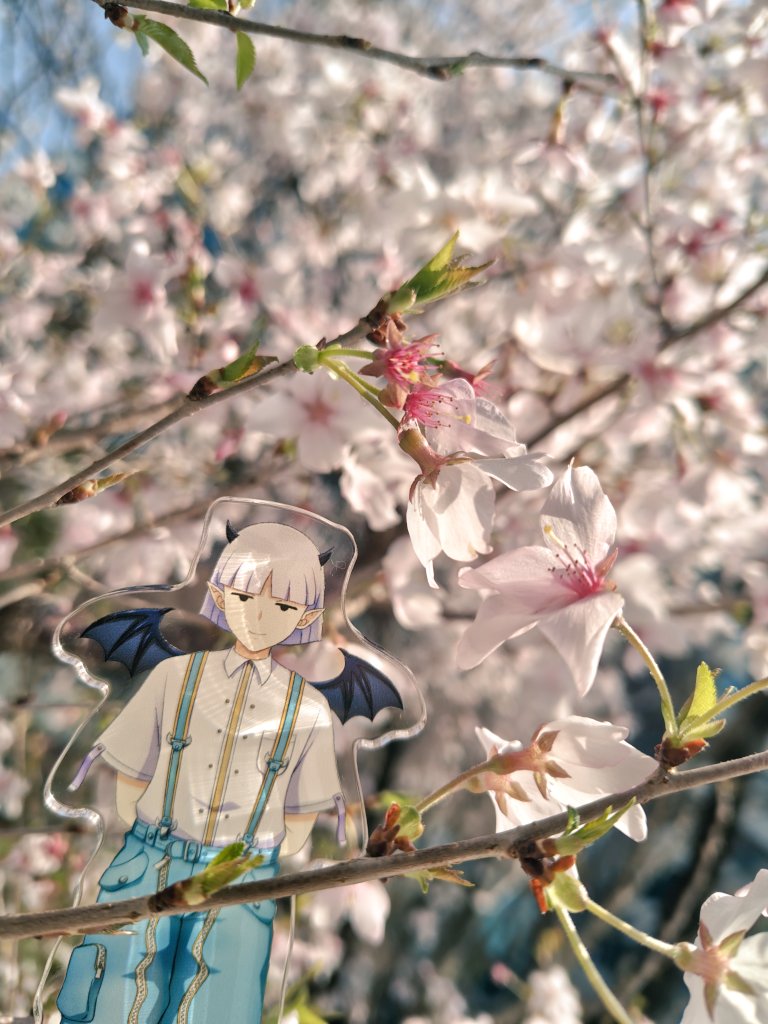 あじゅあ tweet media