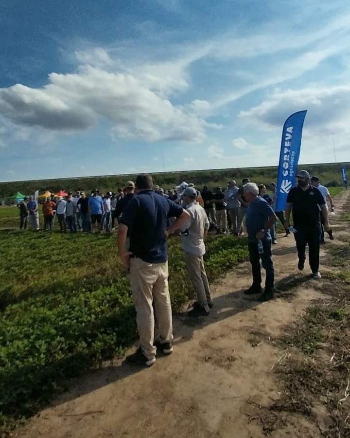 Corteva Argentina tweet media