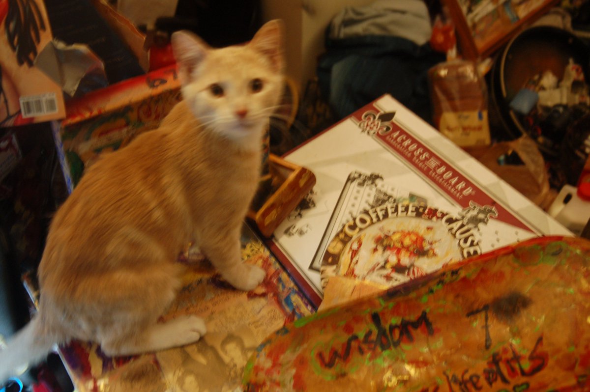 Kevin Michael Callihan Sr. tweet media