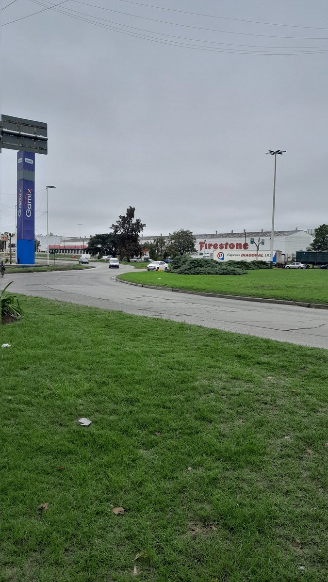 Daniela Delgado tweet media