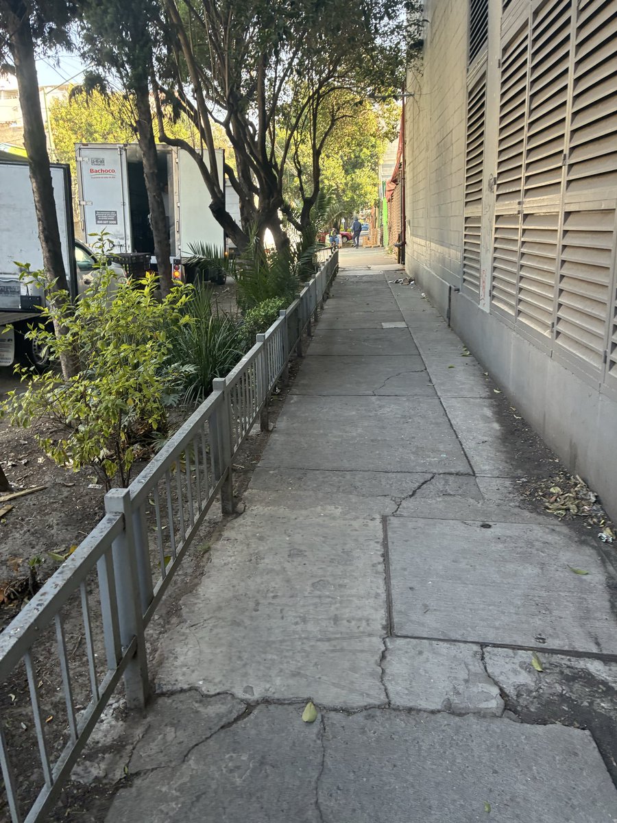 Alejandro tweet media