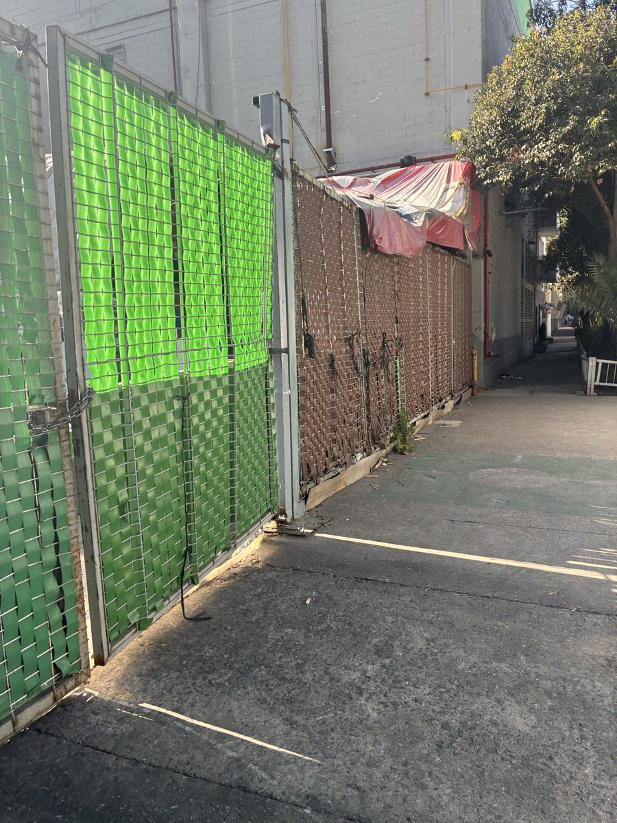 Alejandro tweet media