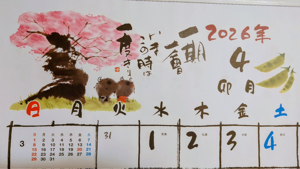 宮田 慎也 tweet media