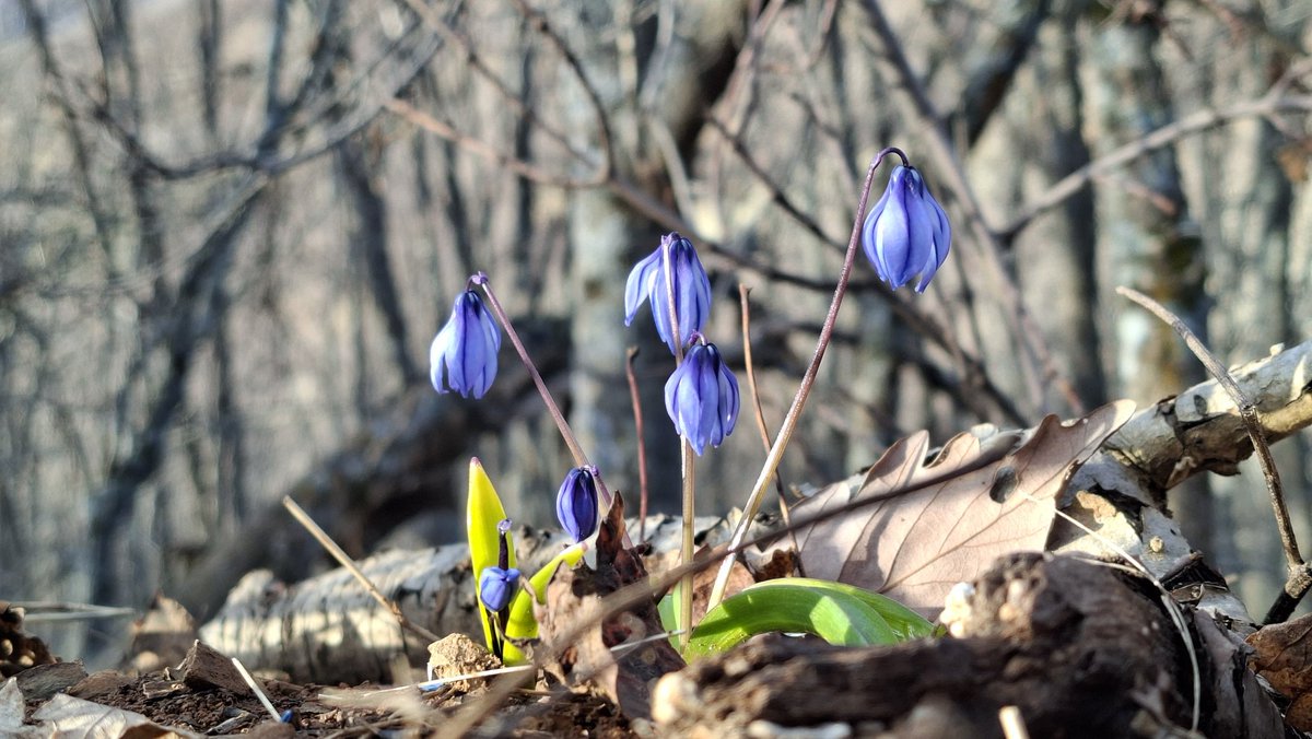 Caner Canerik tweet media