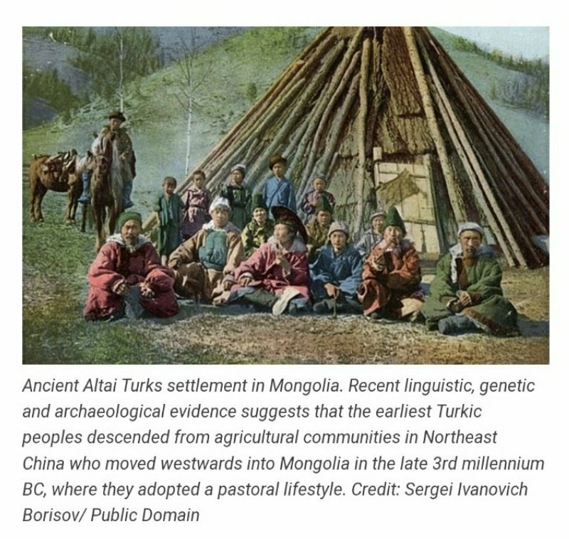 🇬🇷Nick the Greek 🇬🇷 tweet media