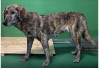 ku-ma返信不具合発生中 tweet media