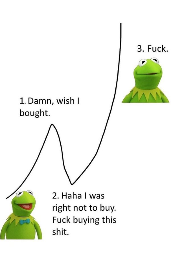 Ghost 🐸 tweet media