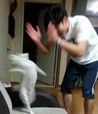 달조각 tweet media