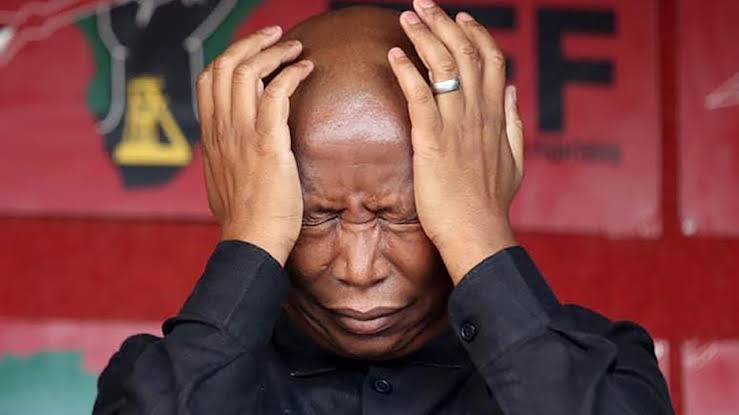 Gugulethu Mhlungu | Gogo Mpendulo tweet media