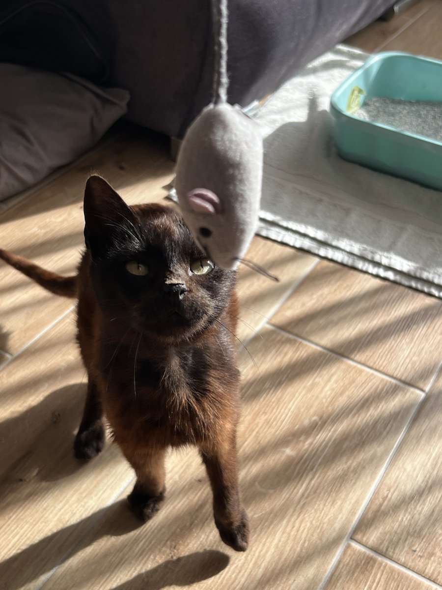 Atheist Girl tweet media