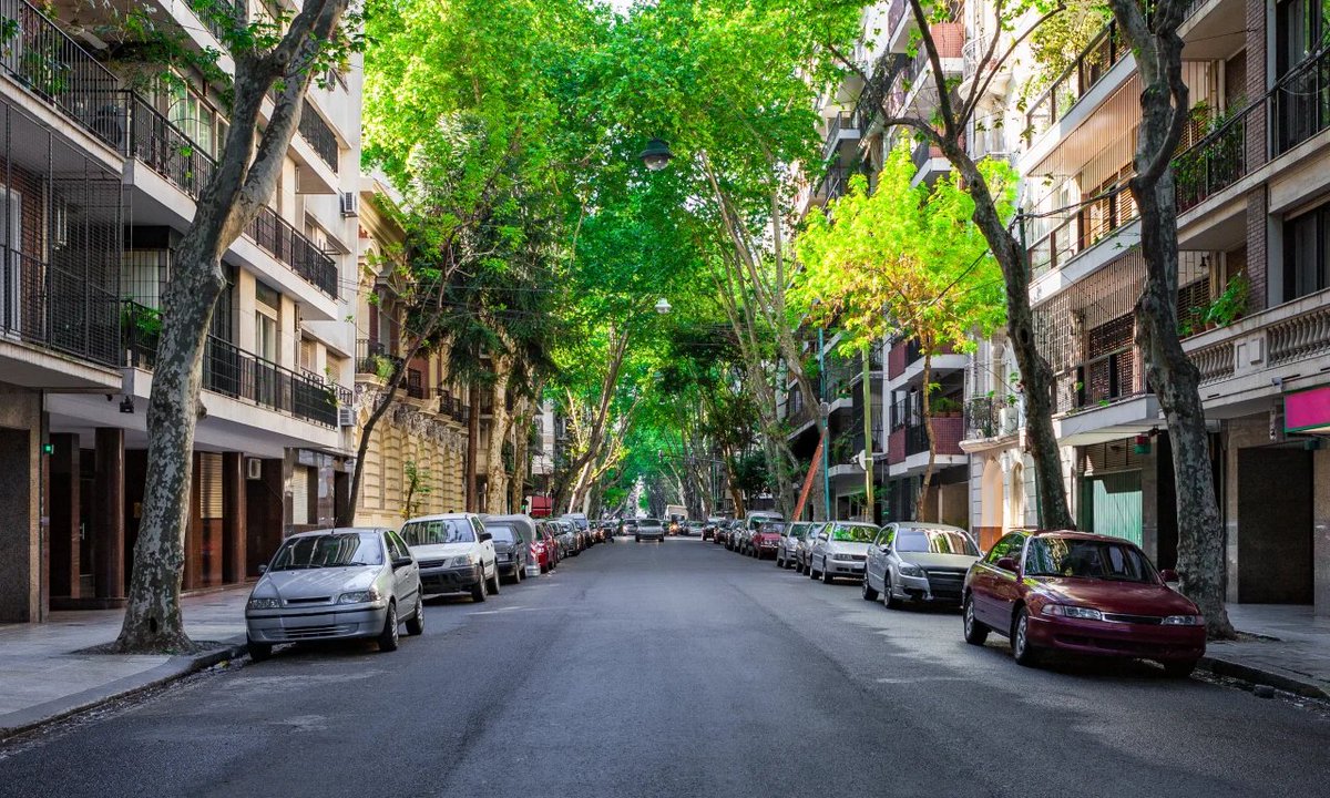 El Economista tweet media