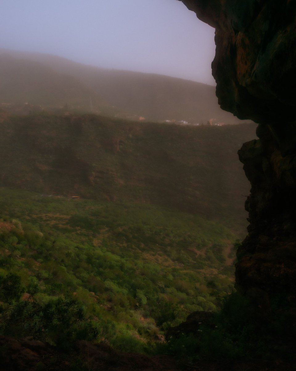 Gariraygua tweet media