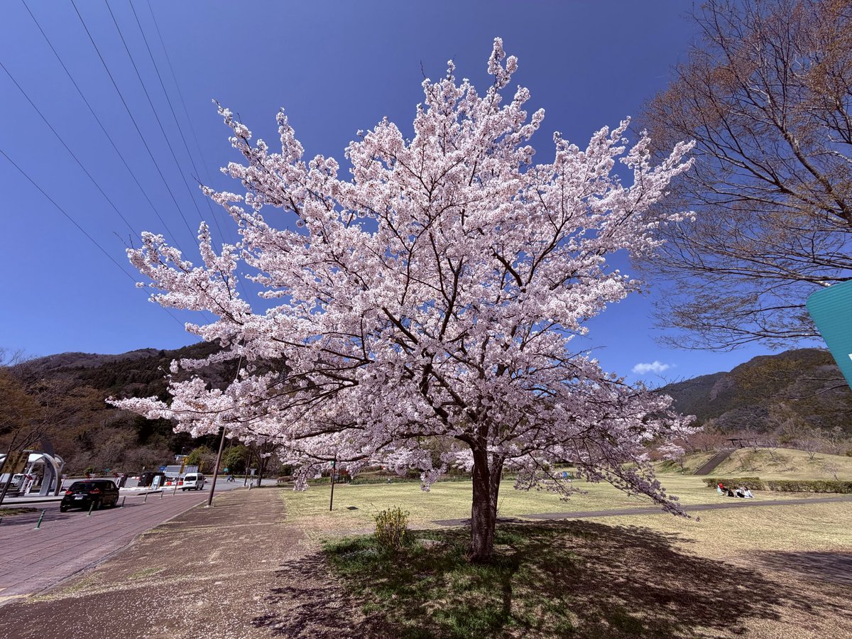 のの（blue sky） tweet media