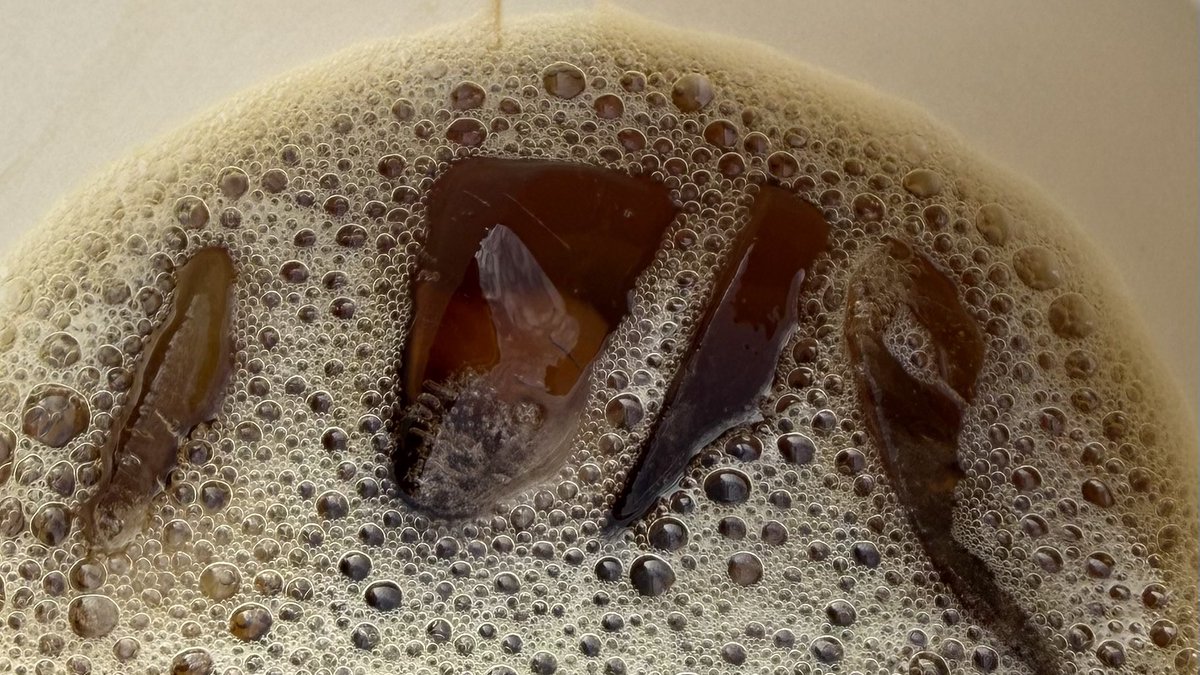 دُنيا | PSG tweet media