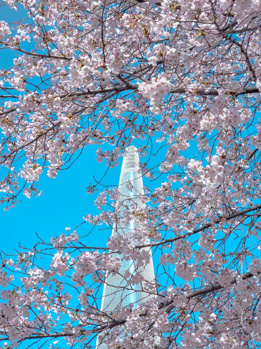 Nyaho(동결❄️) tweet media