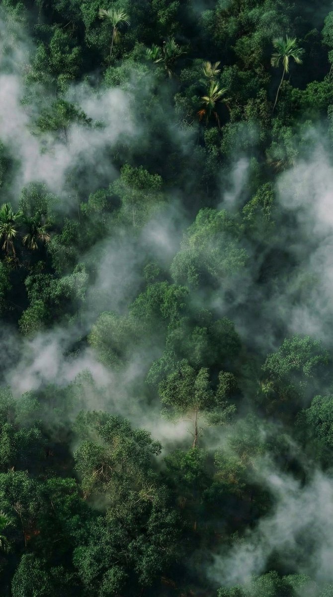 آرْوَىٰ⊰✿ tweet media