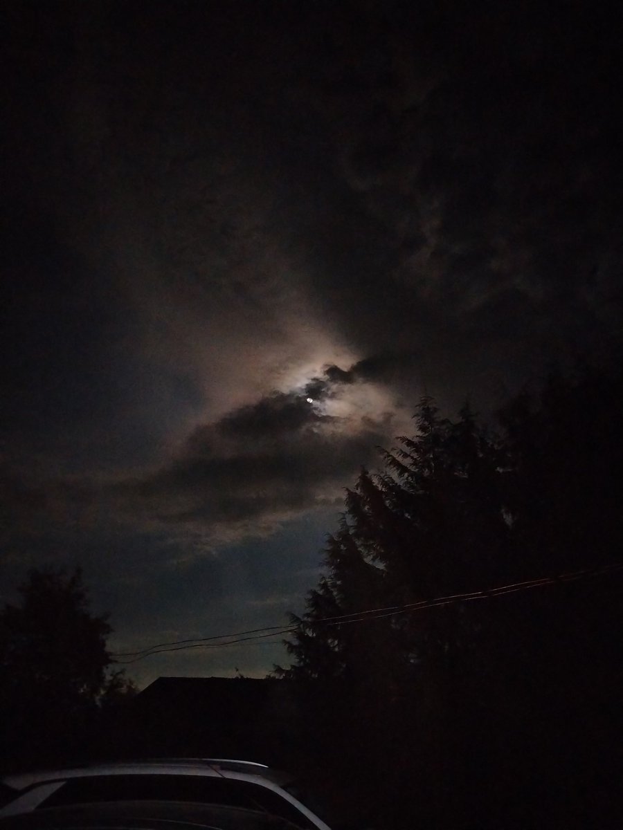 dalialarisa's tweet photo. Cuando hay un apagón en casa de campo, el cielo te regala vistas insuperables. https://t.co/C4xqsW8i22