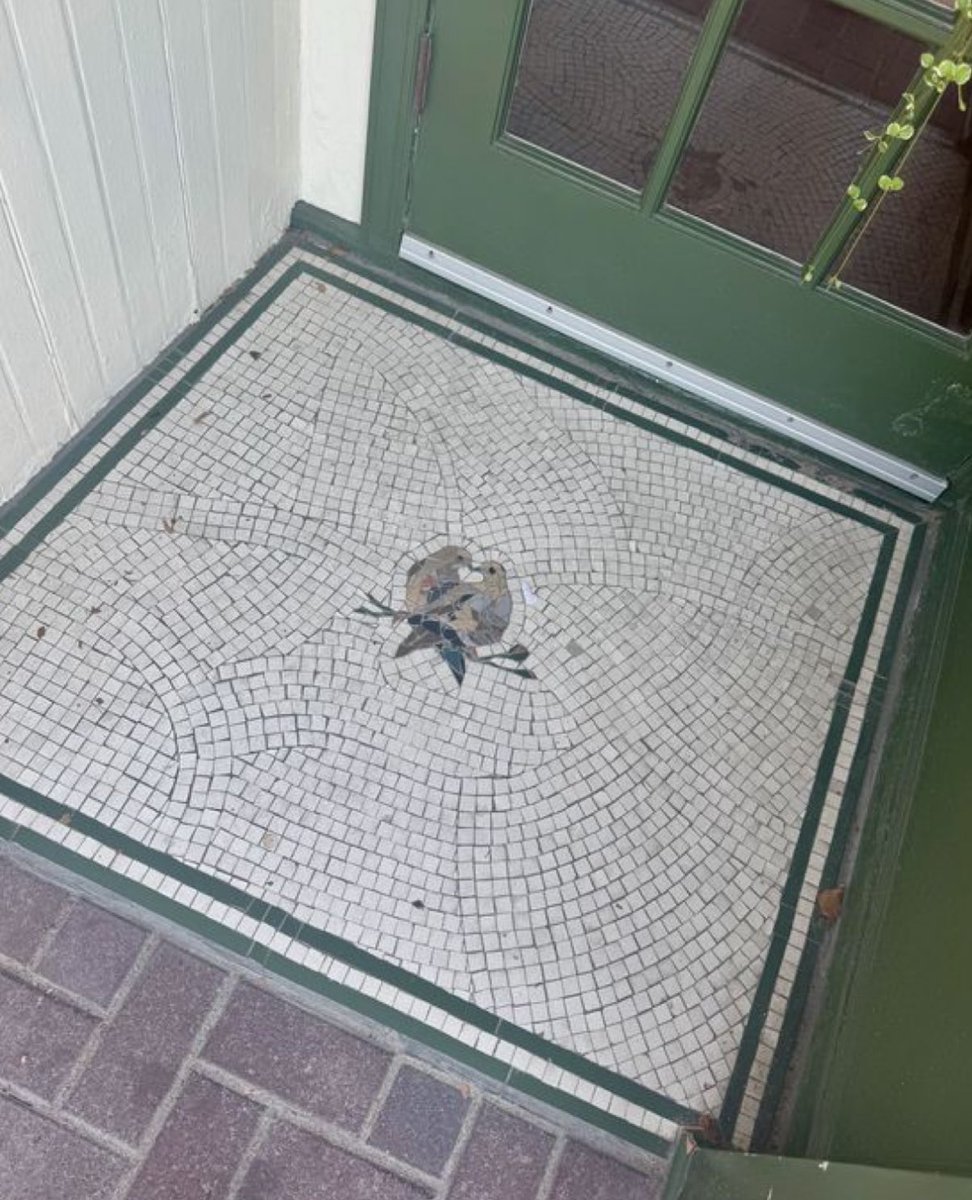 Elle Lookbook tweet media