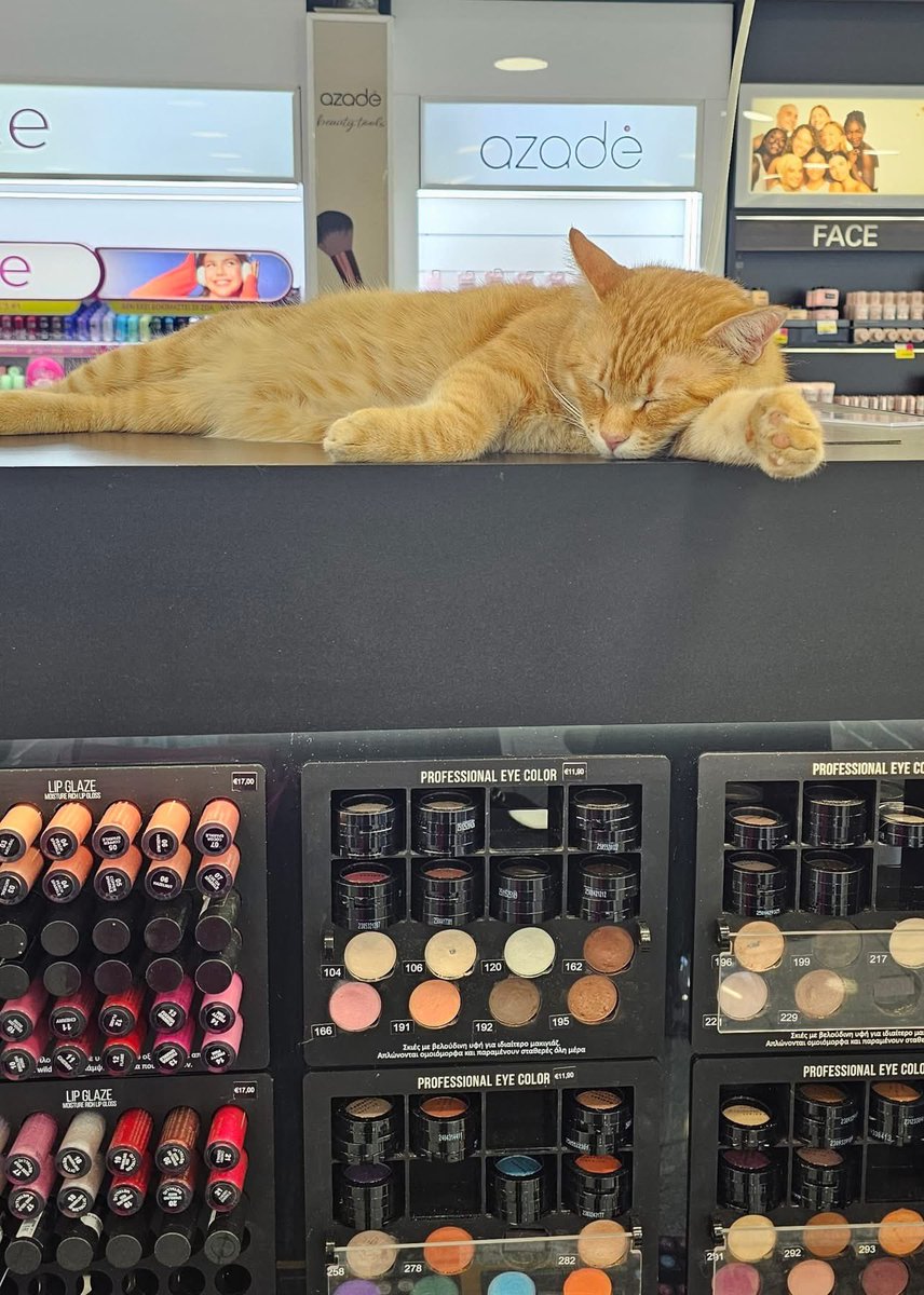 Επίγεια Θεά 💫🔮🏹 tweet media