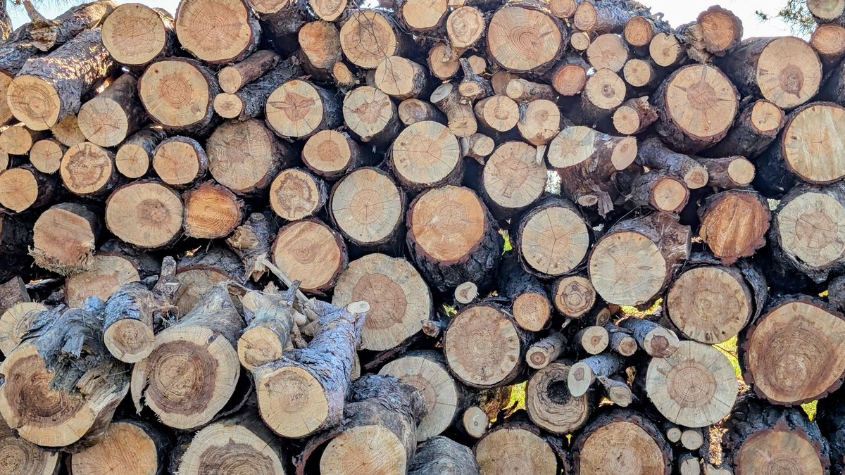 ∂≈∞ --- ∫∫∫∆∏∑∫∫∫ π⃜÷⃜×⃜•⃜|⃜¶⃜∆⃜$⃜%⃜|⃜+⃜ tweet media