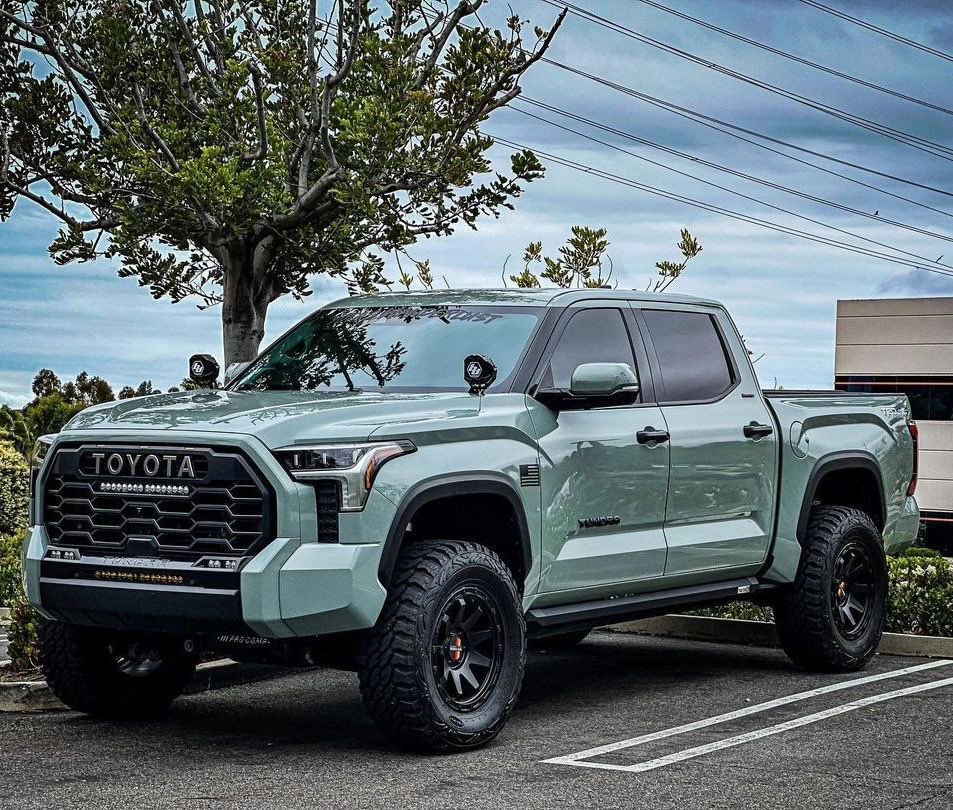 THE TUNDRA GUY tweet media