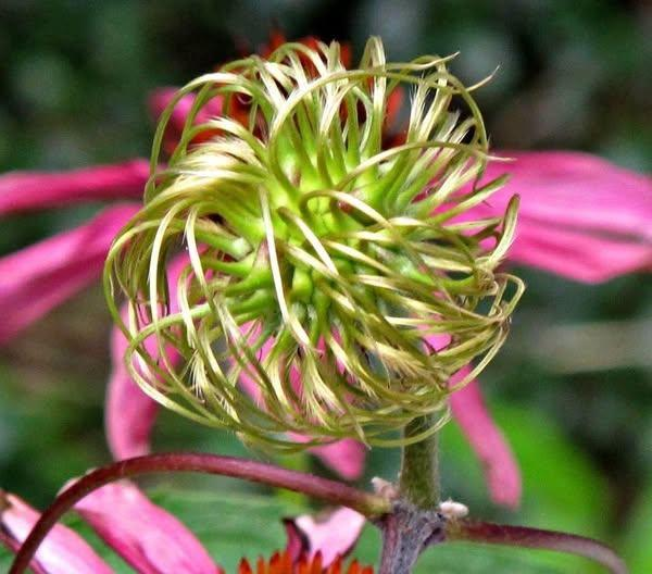 Roy Kelley tweet media