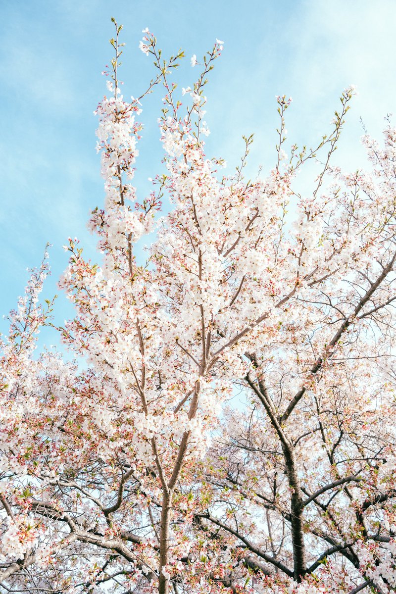 etsu photographer tweet media