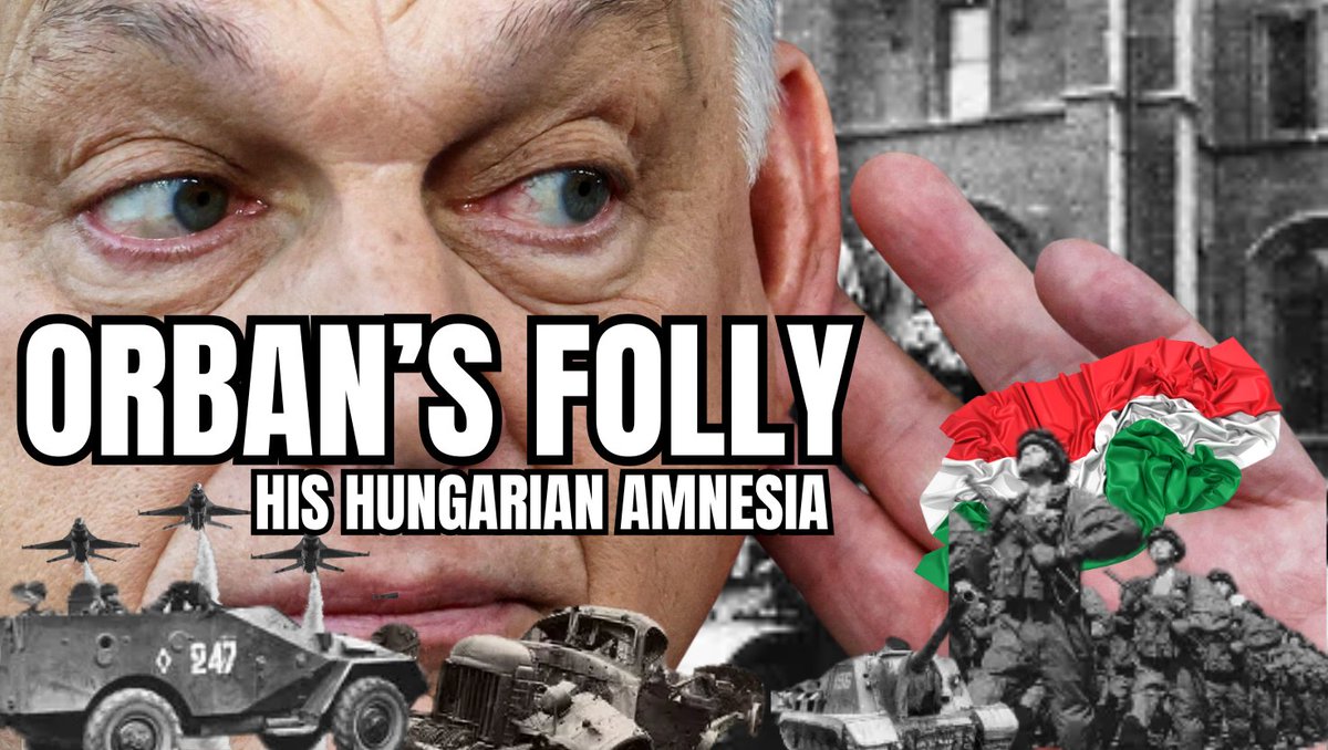 Amnesia of History tweet media