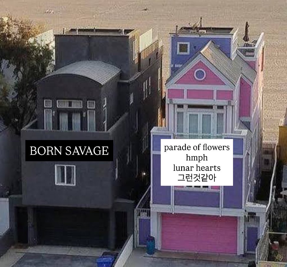 pri 🐈‍⬛ tweet media