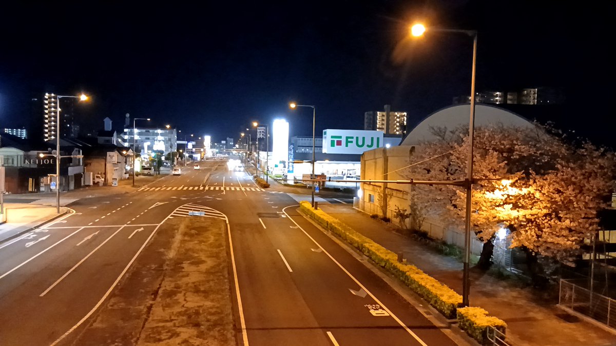 よ～しくん 🍊💁‍♂️🐟 main tweet media