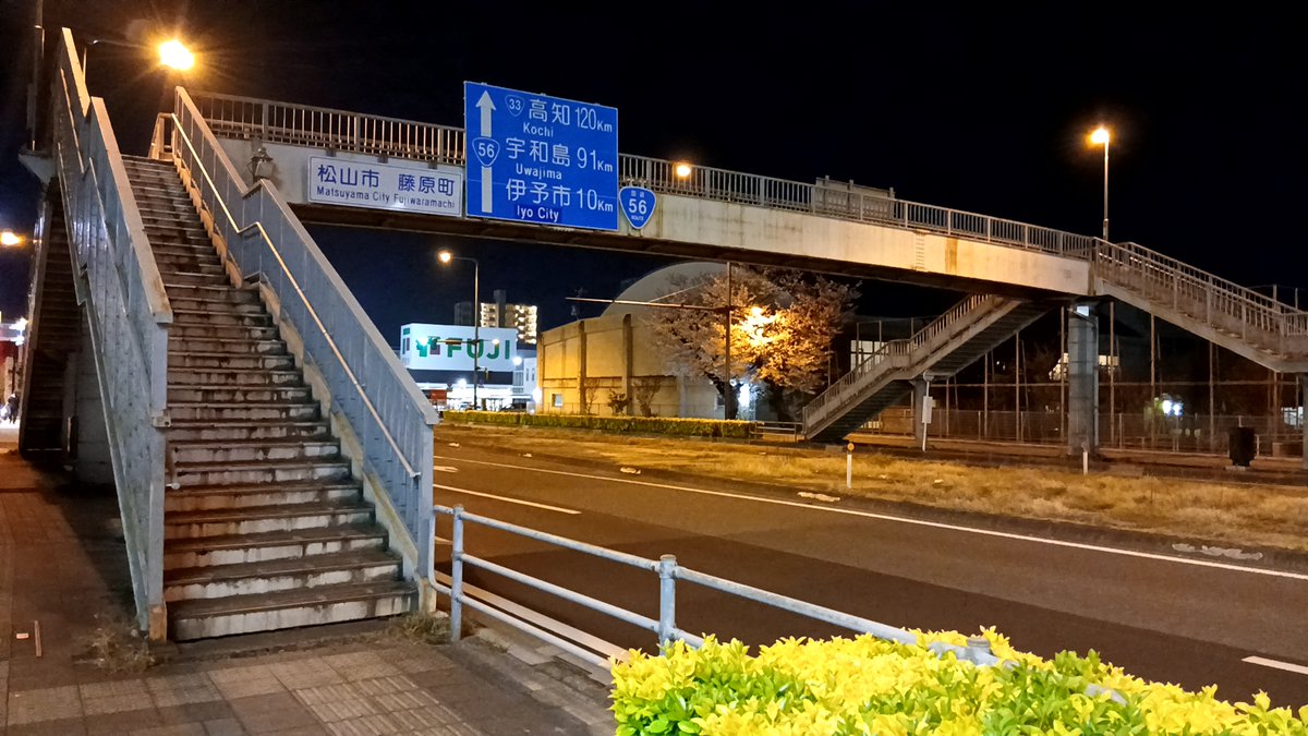 よ～しくん 🍊💁‍♂️🐟 main tweet media