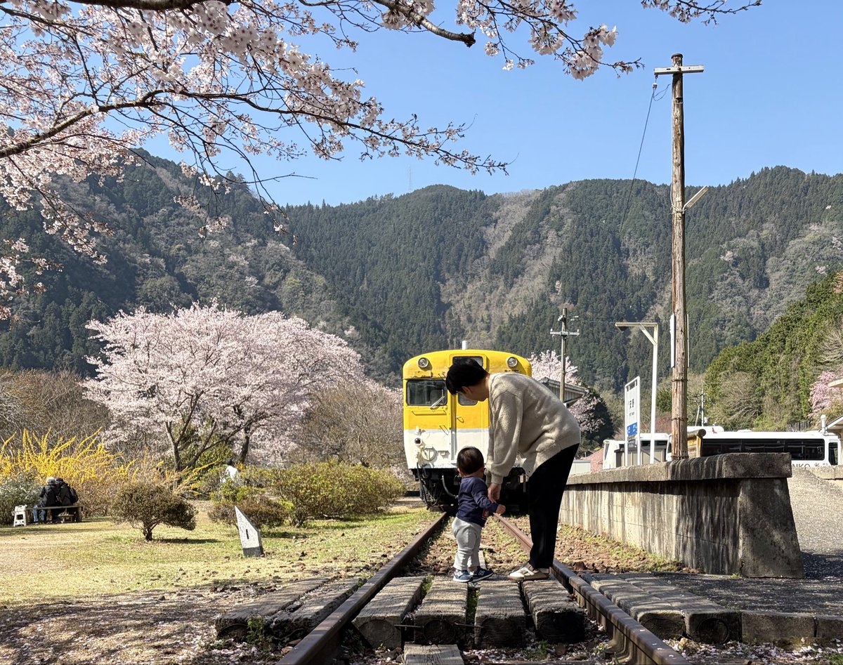 nn6kk's tweet photo. 2026年4月3日
安野花の駅公園🌸🚃
息子は電車に大興奮でした。 https://t.co/ig7CDHunGB