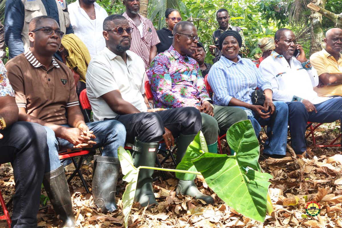 Boatemaa Gifty tweet media