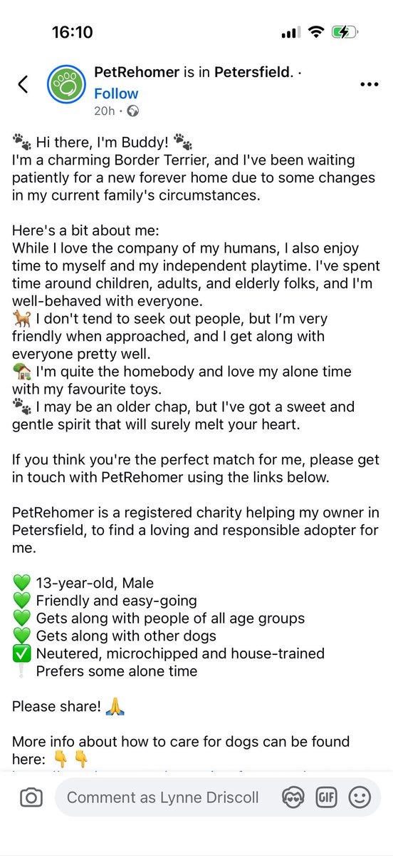 Billy and Poppy and sometimes Rocky 🌈BT’s tweet media