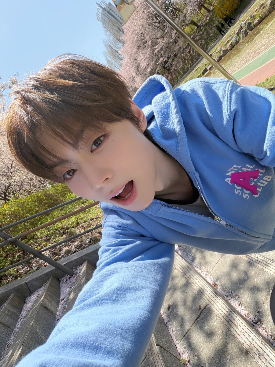 eohxng's tweet photo. 뭐가꽃인지모르게땅 https://t.co/nBpHCh7Pso