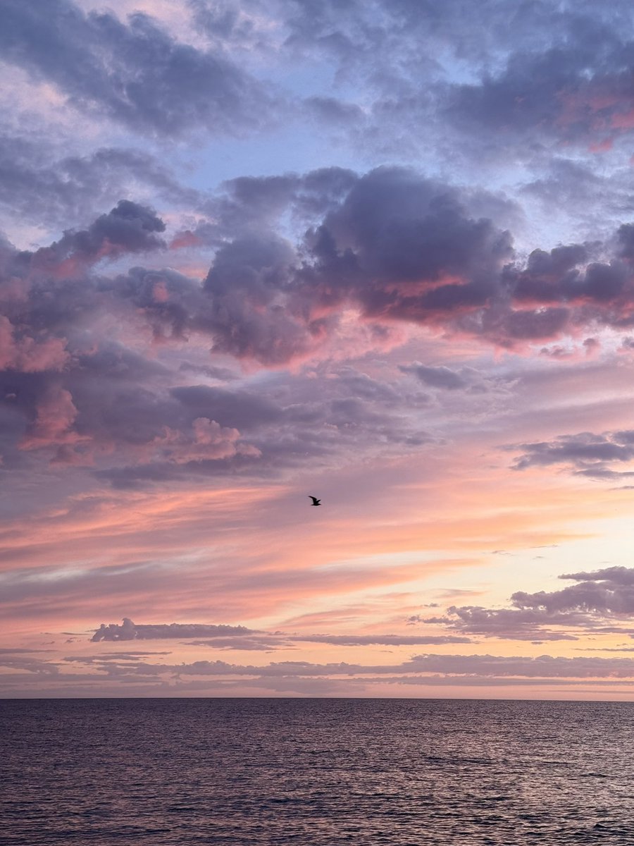 MarcD_Weegem's tweet image. A Dreamscape of a morning
.
#ireland #stormhour #ThePhotoHour #sunrise #wicklow #dogsofx #greystones #irelandsancienteast #KeepDiscovering