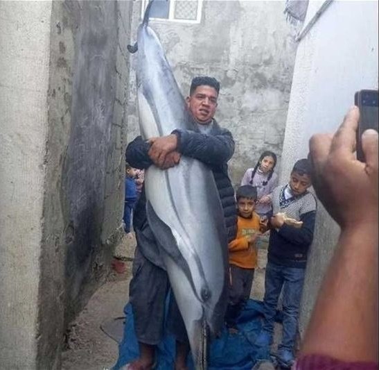 The Mossad: Satirical and Awesome tweet media