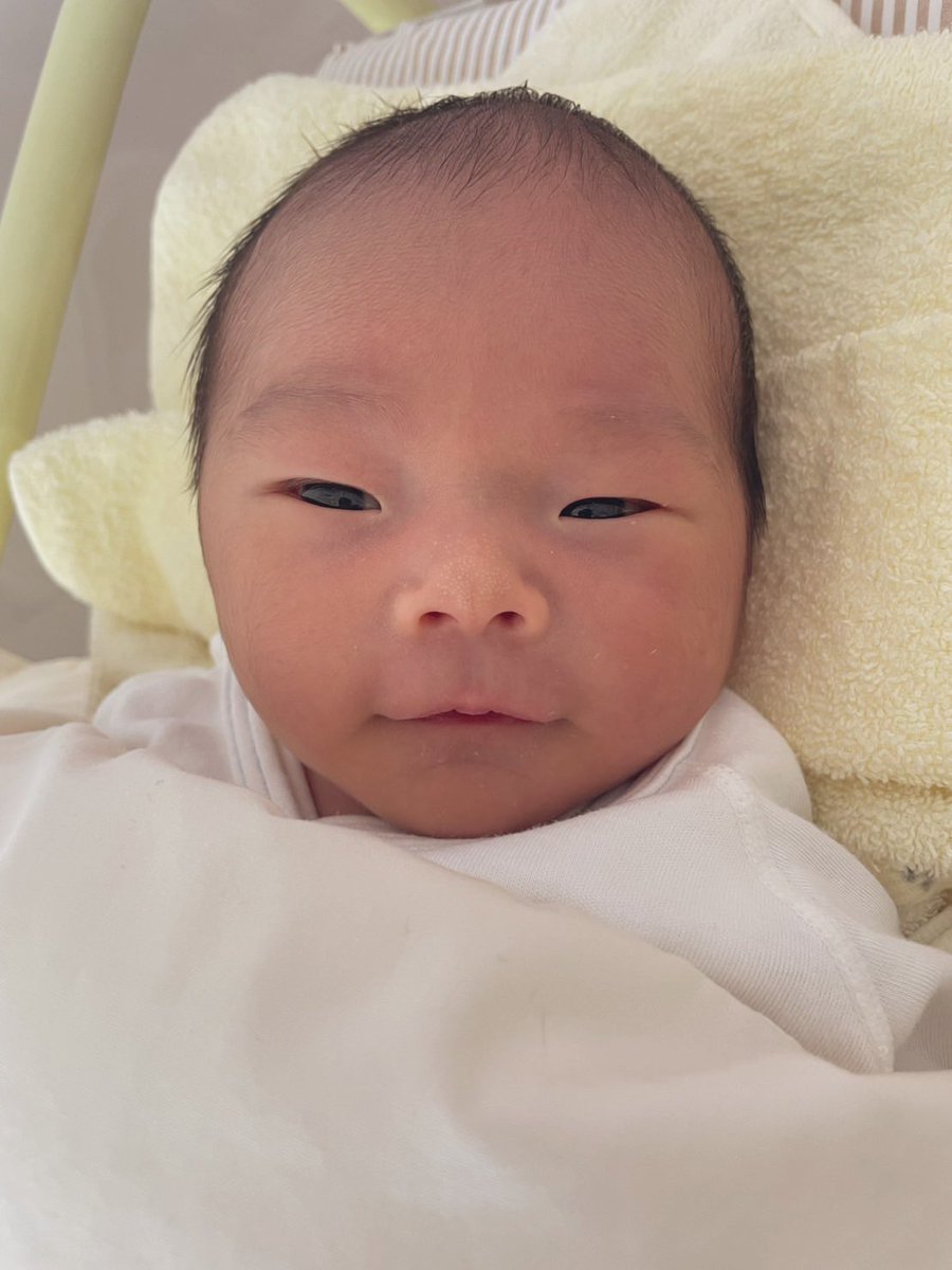 しらまり🐰camp tweet media