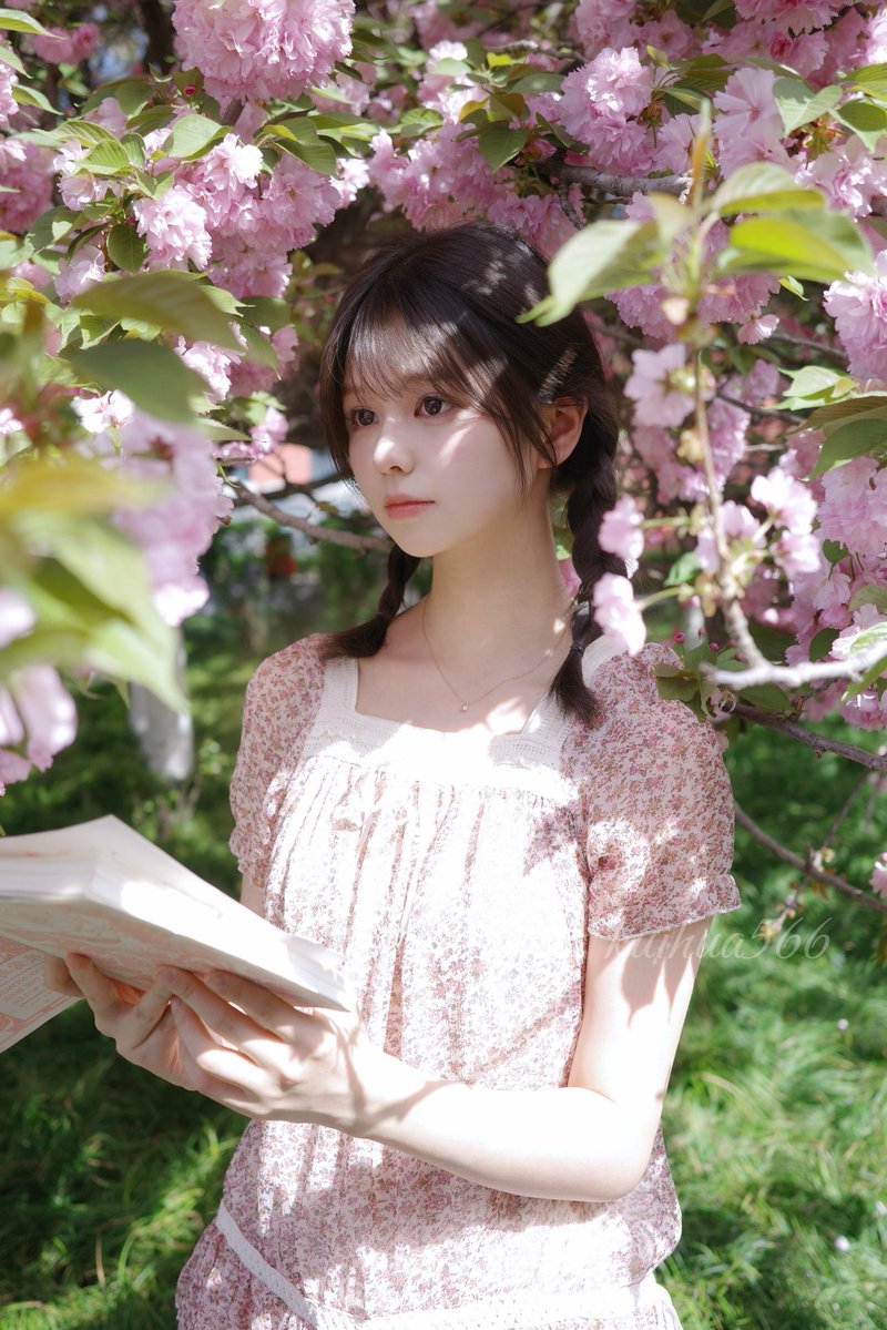 暴躁的葵花油 tweet media