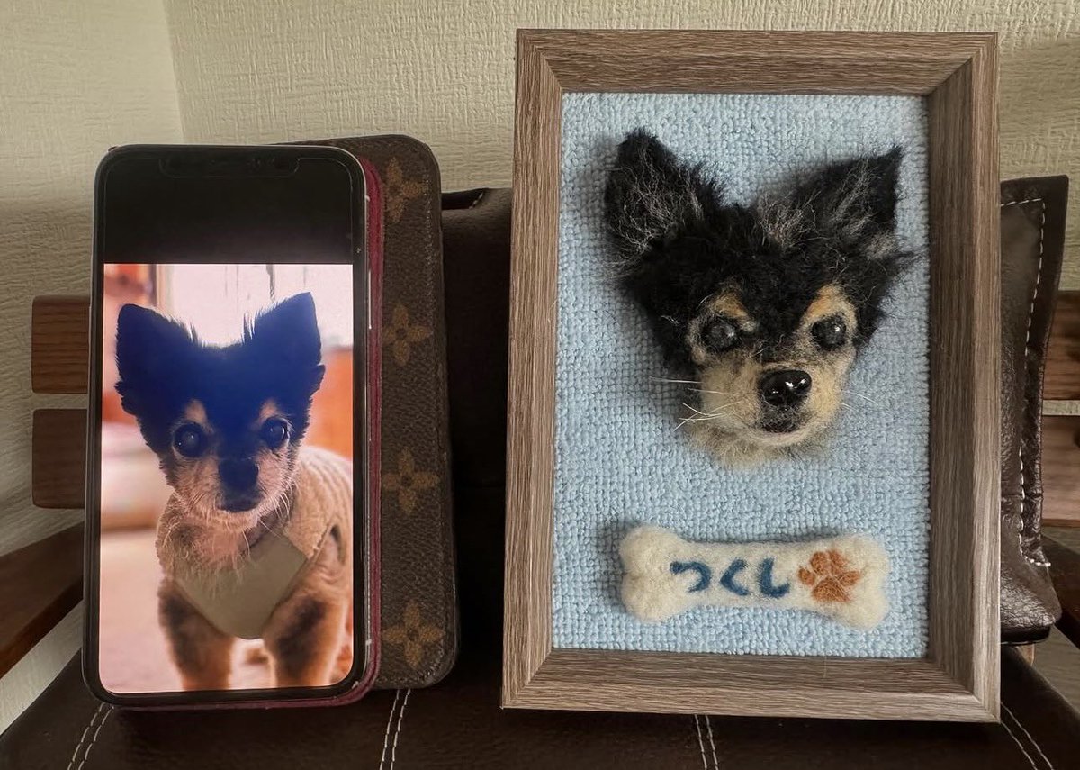 わたわたペット＠中の人 tweet media