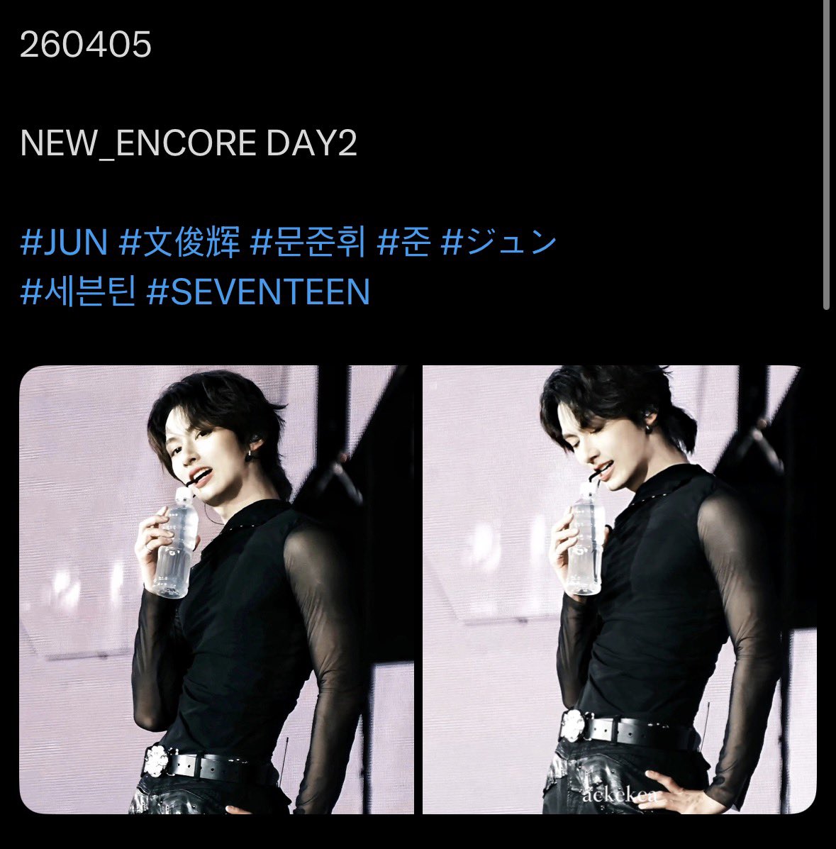 Dumb Dog Do (Not) Eat tweet media